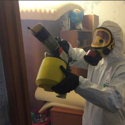 Уничтожение клопов в квартире. Филёвский парк